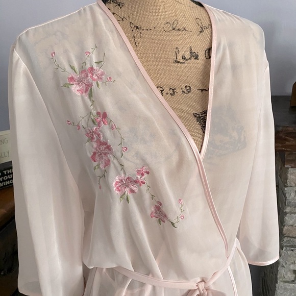 Beautiful Embroidered Sheer Robe - Picture 2 of 5